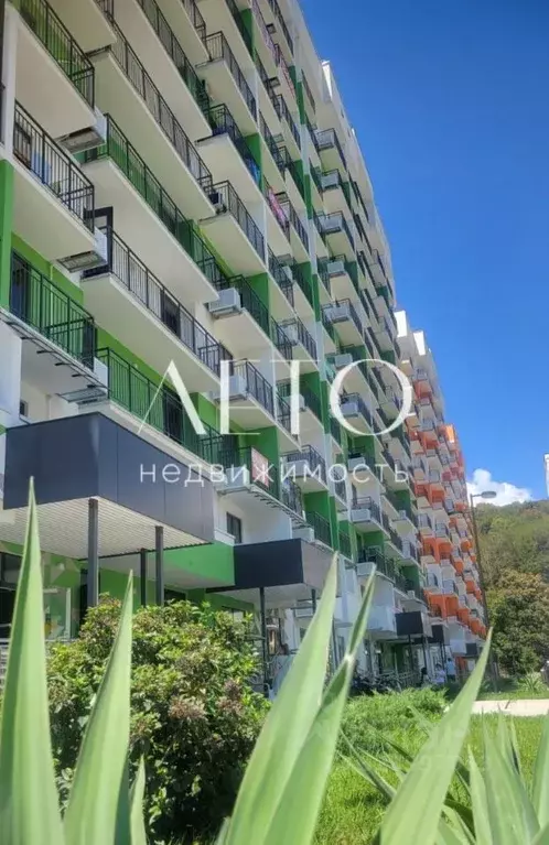 1-к кв. Краснодарский край, Сочи ул. Искры, 88 (26.0 м) - Фото 1