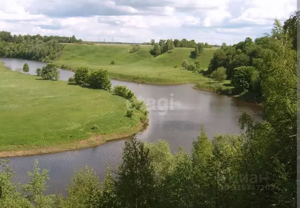 Участок в Ярославская область, Ярославский муниципальный округ, д. ... - Фото 1