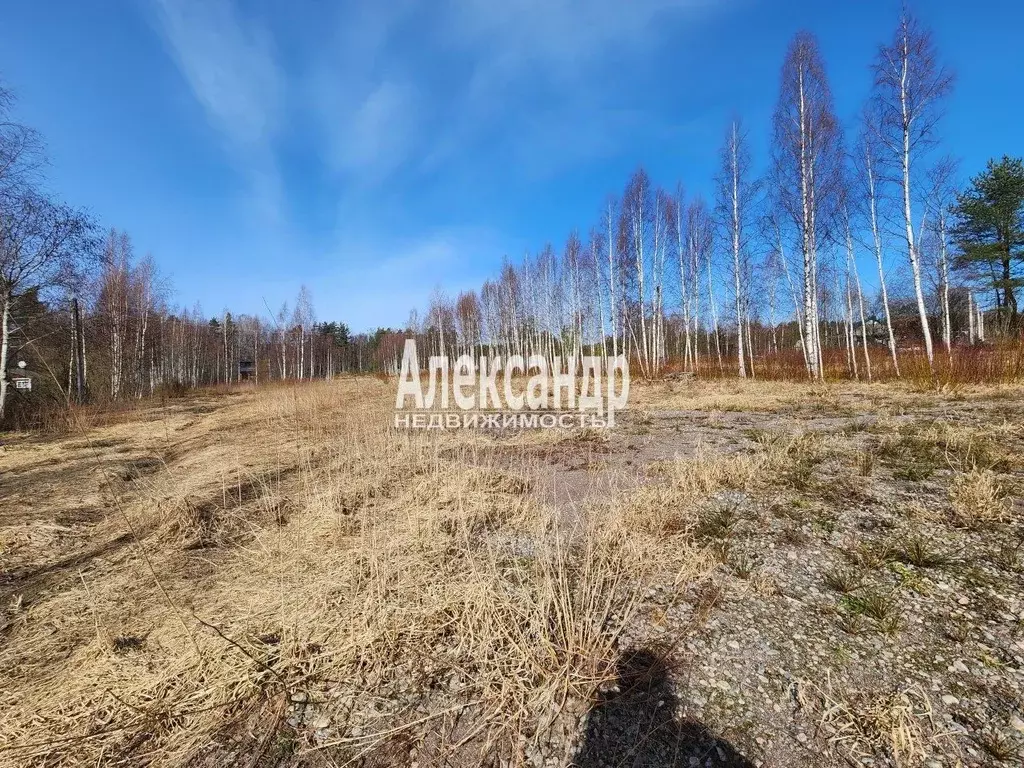 Участок в Ленинградская область, Приозерский район, Ларионовское ... - Фото 2