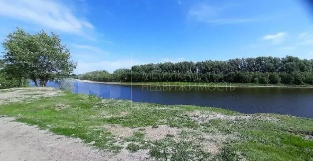 Участок в Тюменская область, Тюменский муниципальный округ, с. Щербак  ... - Фото 1