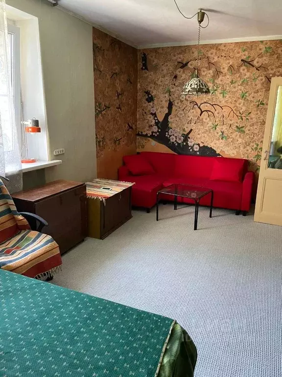 1-к кв. Санкт-Петербург Дачный просп., 29К1 (29.0 м) - Фото 1