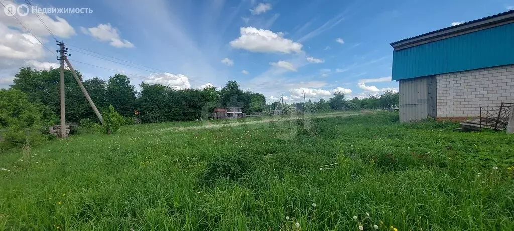 Участок в Можгинский район, деревня Лесная Поляна (14.63 м) - Фото 2