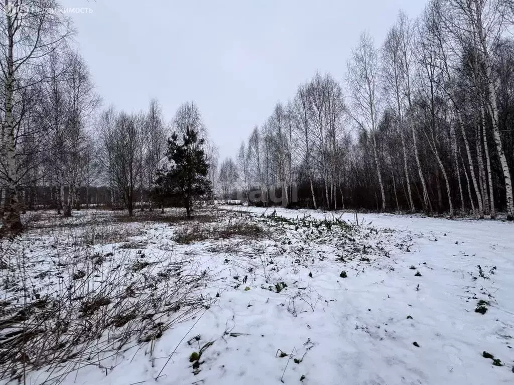 Участок в Нижний Новгород, улица Максима Горького (10.3 м) - Фото 0