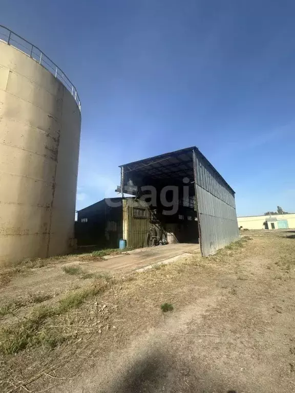 Производственное помещение в Воронежская область, Лиски Фестивальная ... - Фото 0