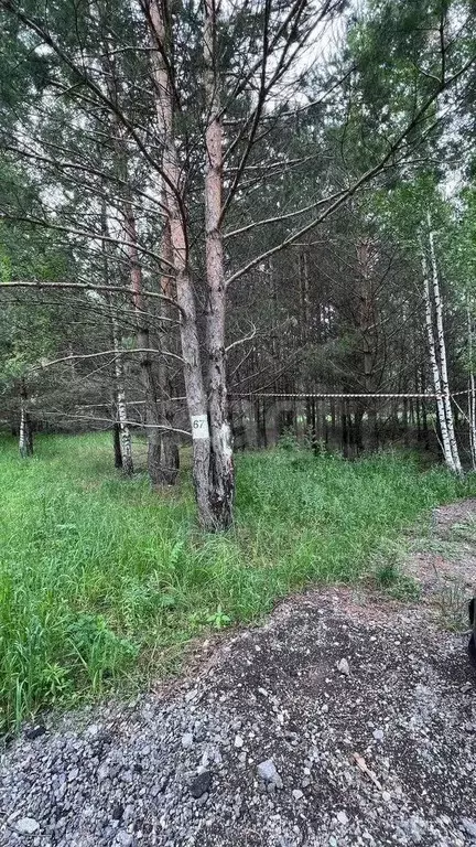 Участок 15 сот. (ИЖС) - Фото 0