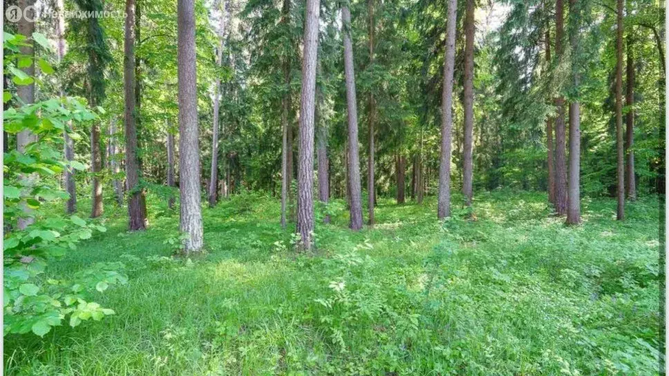 Участок в Одинцовский городской округ, посёлок Барвиха (58 м) - Фото 2