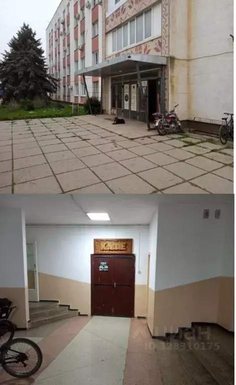 Помещение свободного назначения в Крым, Сакский район, с. Фрунзе ул. ... - Фото 1