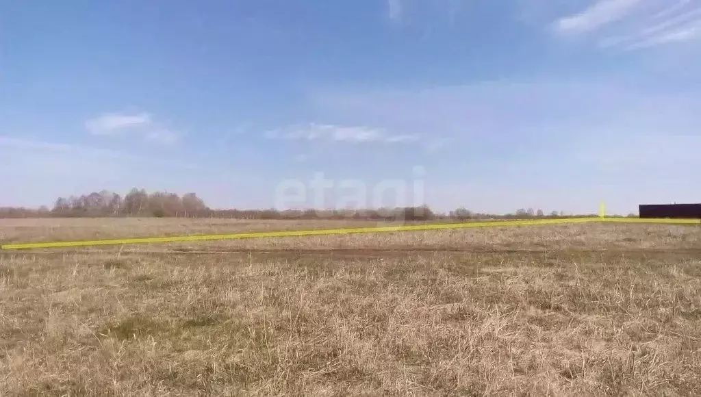 Участок в Челябинская область, Каслинский муниципальный округ, д. ... - Фото 2