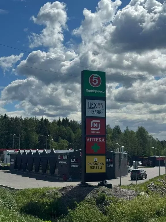 Помещение свободного назначения в Ленинградская область, Всеволожский ... - Фото 1