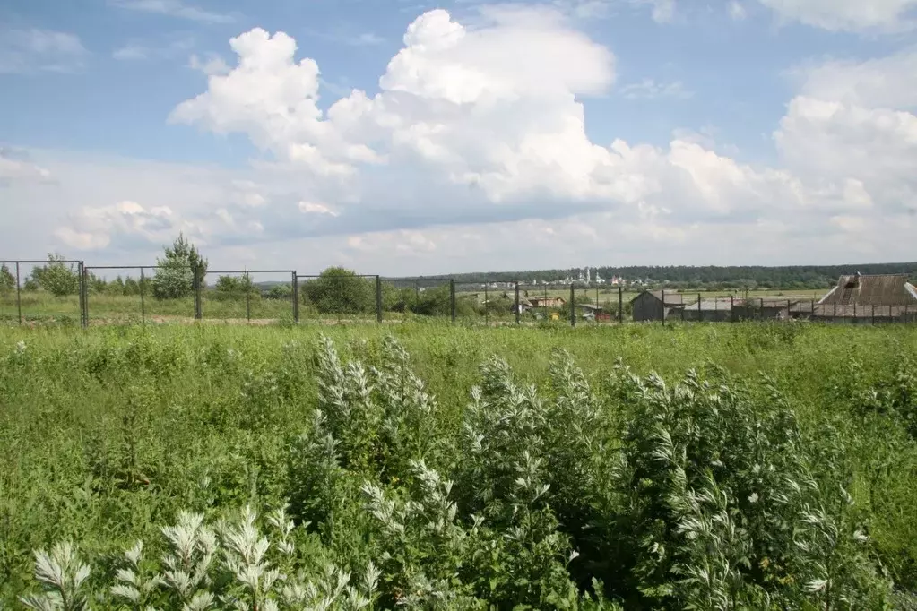 Участок в Калужская область, Козельский муниципальный округ, Нижние ... - Фото 2