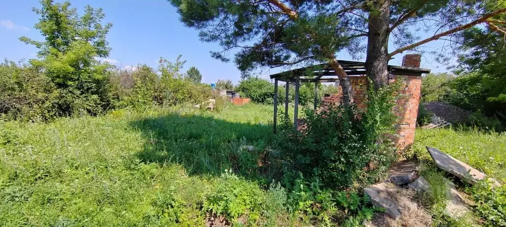 Участок в Оренбургская область, Оренбургский район, Сергиевский ... - Фото 1