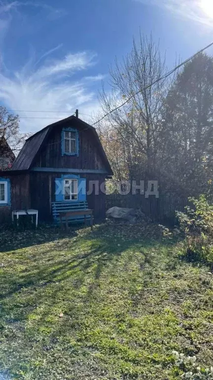 Дом в Новосибирская область, Колыванский район, Нива СНТ ул. ... - Фото 2