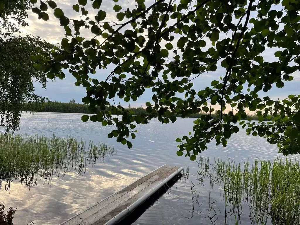 Коттедж в Рязанская область, Рязанский муниципальный округ, с. Ласково ... - Фото 2