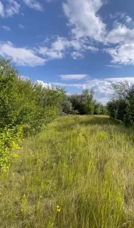 Участок в Саратовская область, Балаковский район, Натальинское ... - Фото 1