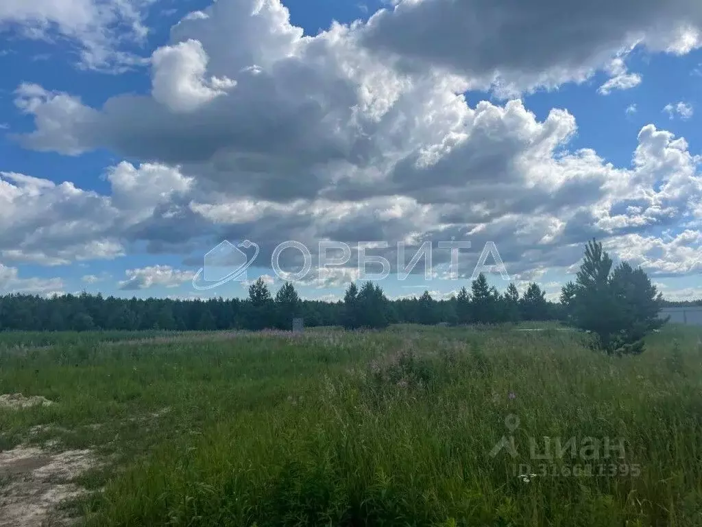 Участок в Тюменская область, Нижнетавдинский район, Березка СНТ  (36.0 ... - Фото 1