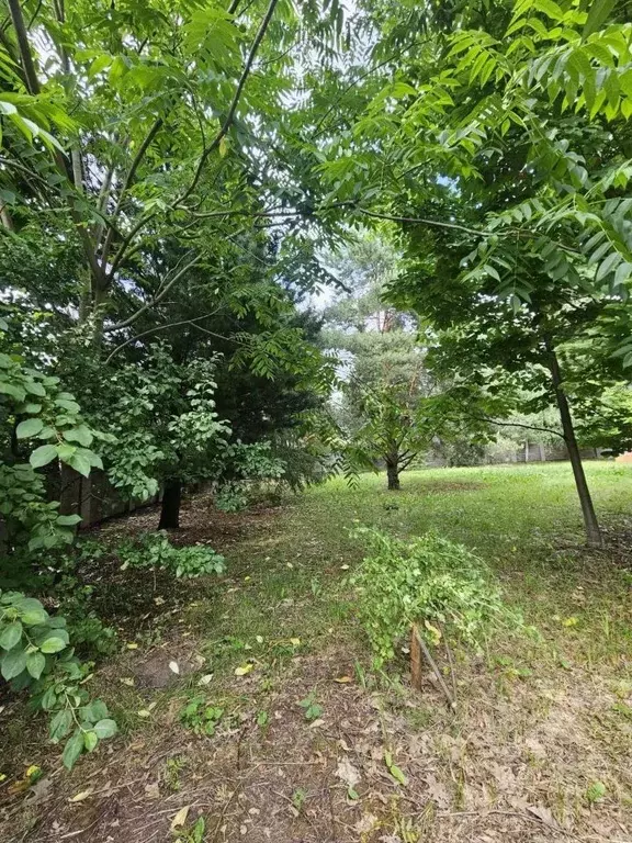 Участок в Москва 3-я Мякининская ул., 17 (7.5 сот.) - Фото 1