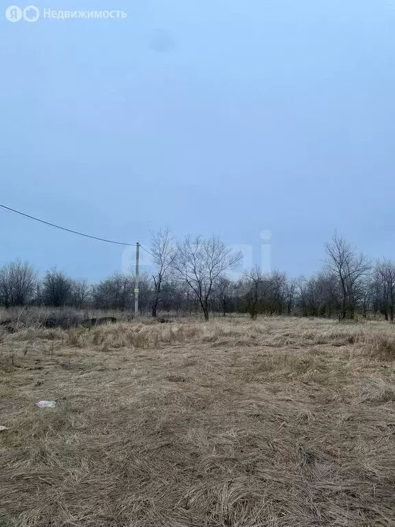 Участок в Новоусманский район, Никольское сельское поселение, посёлок ... - Фото 2