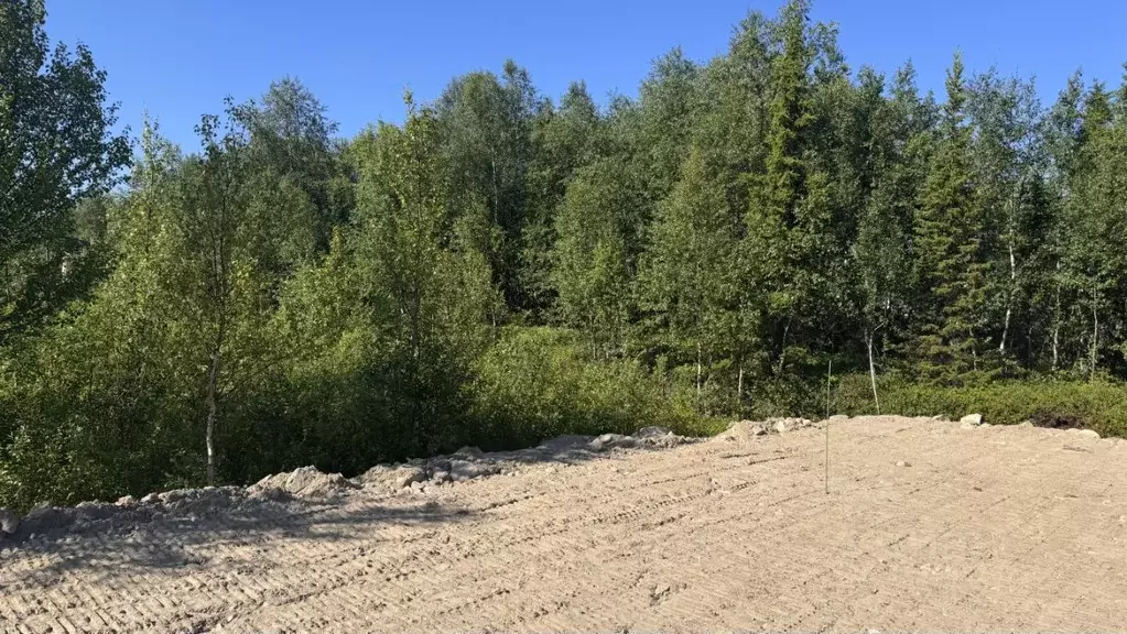 Участок в Мурманская область, Кольский район, Город Кола городское ... - Фото 0