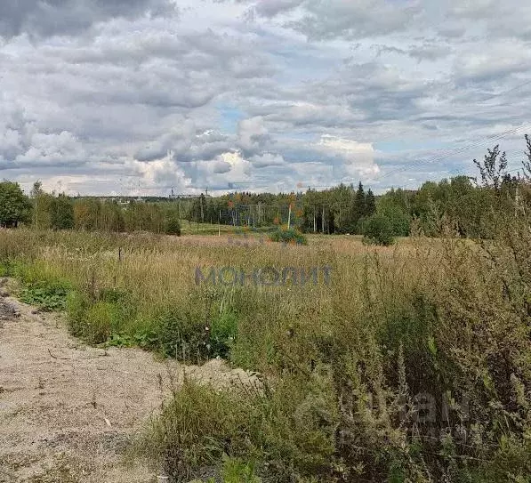 Участок в Московская область, Мытищи городской округ, д. Протасово  ... - Фото 0