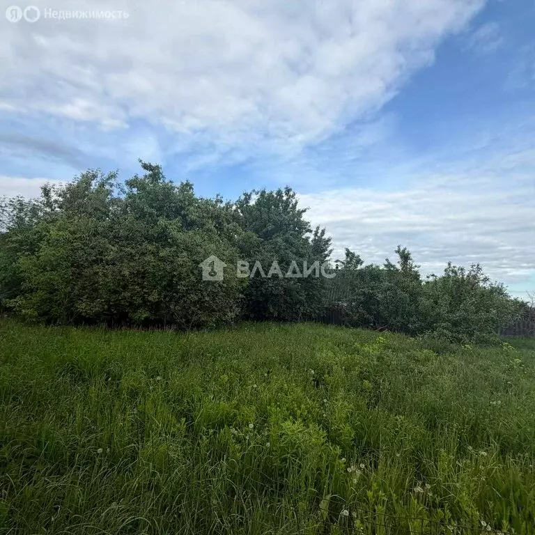 Участок в деревня Бортниково, Зелёная улица (28 м) - Фото 2