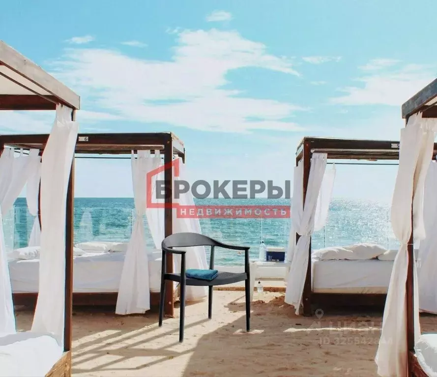 Участок в Крым, Сакский район, с. Фрунзе ул. Таврическая, 28 (8.0 ... - Фото 1