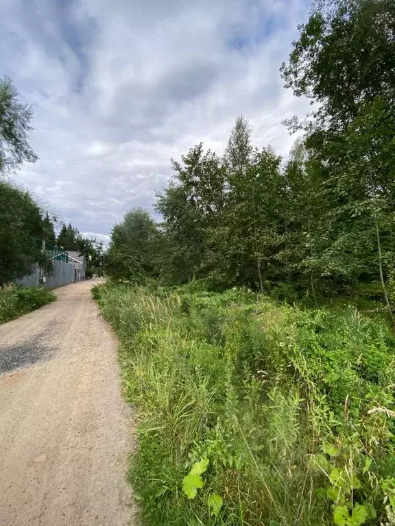 Участок в Московская область, Дмитровский муниципальный округ, ... - Фото 2