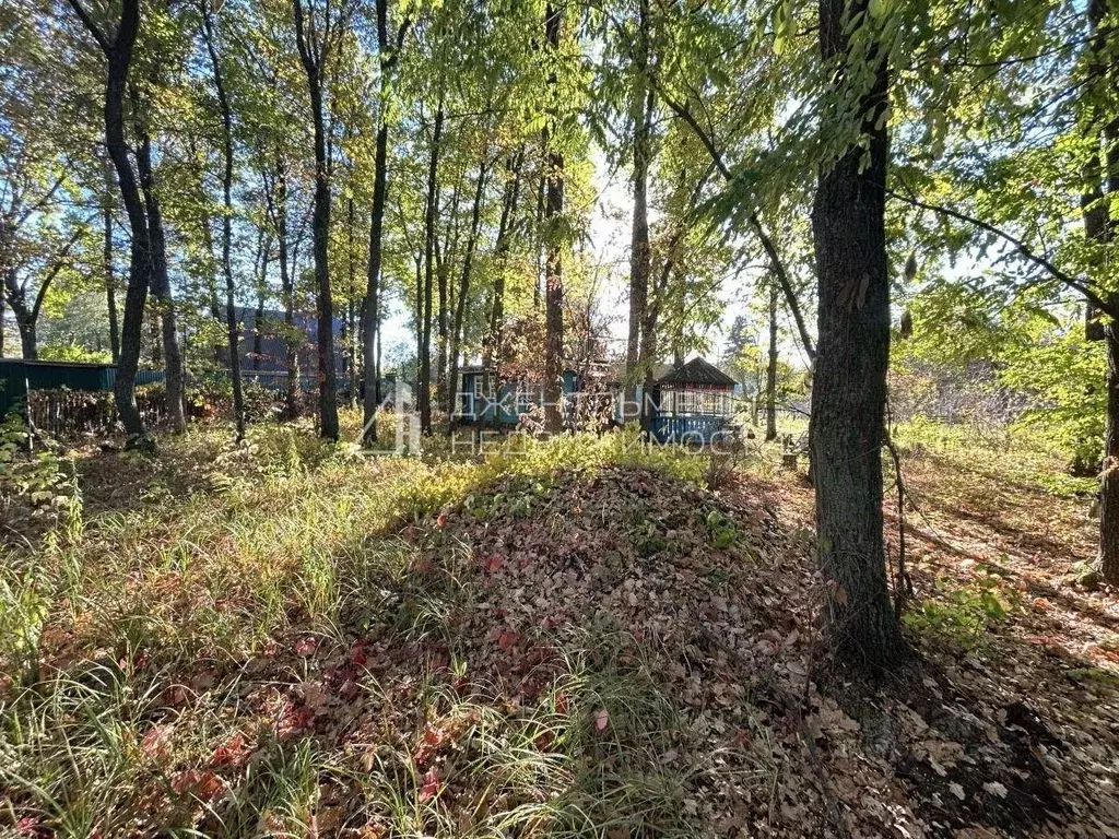 Участок в Пензенская область, Пенза Дружба Завода Пензмаш СНТ, 61Б ... - Фото 1