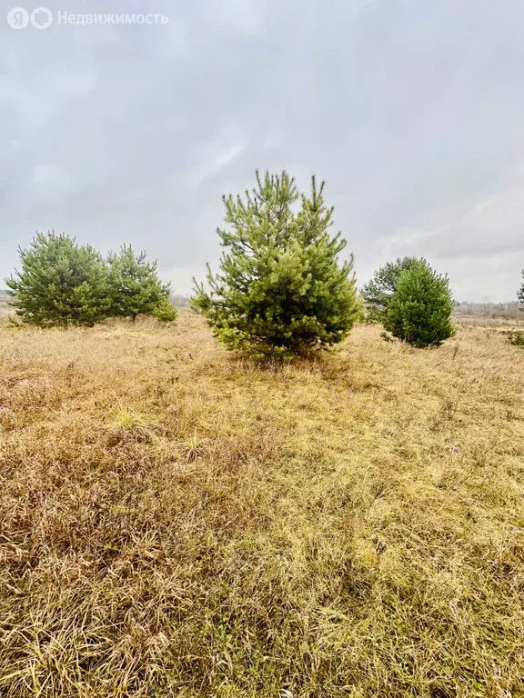 Участок в деревня Яковлево, 5-я улица Саввинские Берега (15 м) - Фото 0