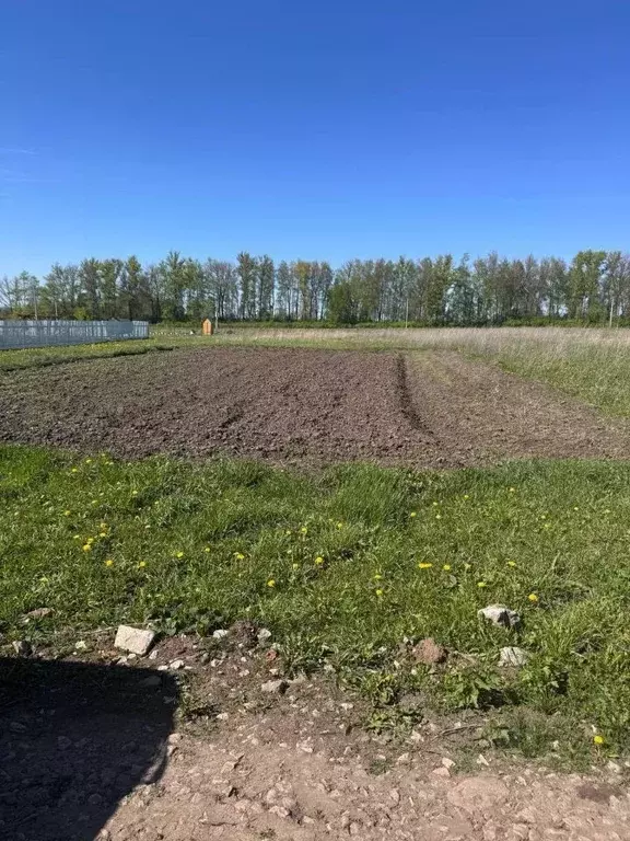 Участок в Московская область, Серпухов городской округ, д. Сераксеево  ... - Фото 1