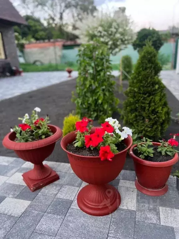 Студия Ставропольский край, Ессентуки Пятигорская ул., 11А (30.0 м) - Фото 2