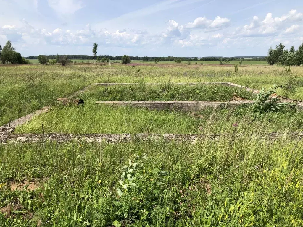 Участок в Московская область, Кашира городской округ, д. Кокино ул. ... - Фото 1