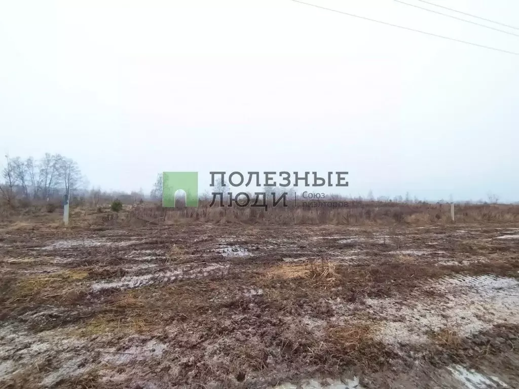 Участок в Орловская область, Орловский муниципальный округ, д. ... - Фото 2
