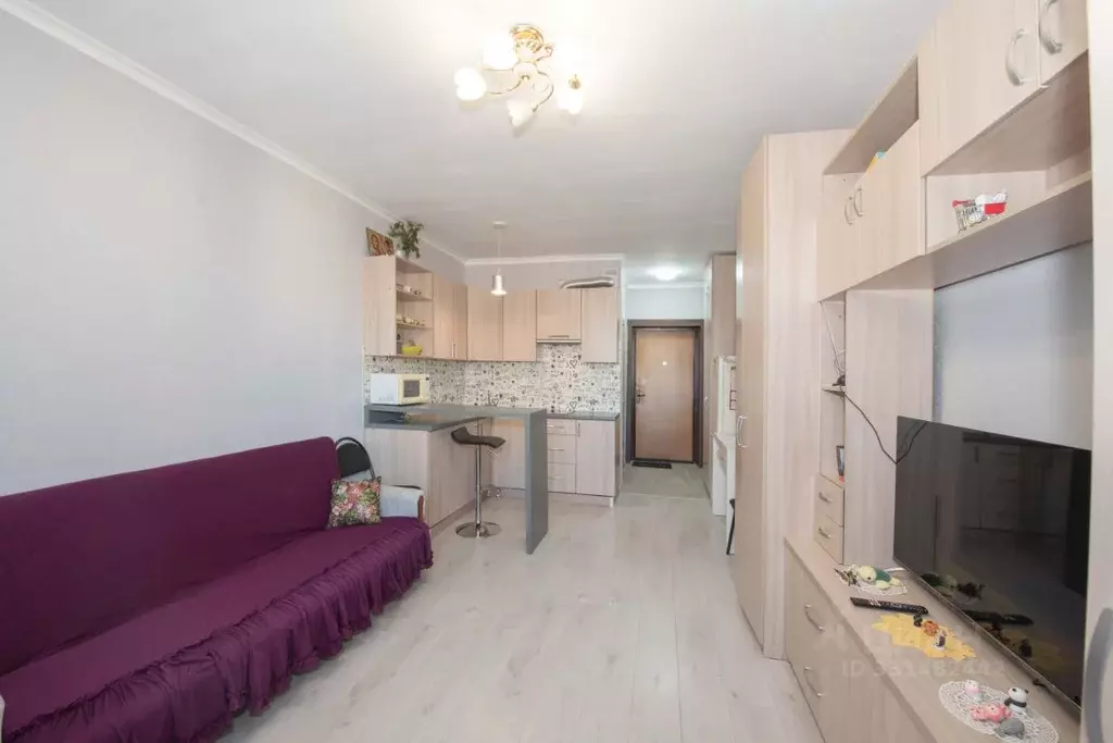 Студия Мордовия, Саранск ул. Щорса, 29 (25.3 м) - Фото 1