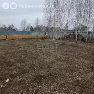 Участок в Новосибирская область, Коченёвский муниципальный район, ... - Фото 1