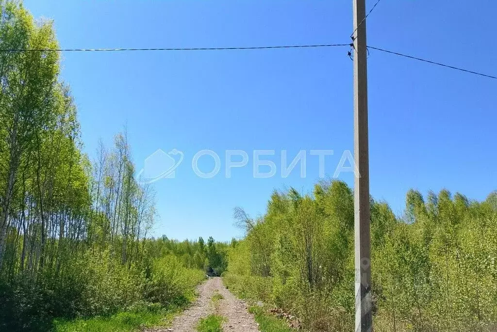 Участок в Тюменская область, Нижнетавдинский район, Моторостроитель ... - Фото 1