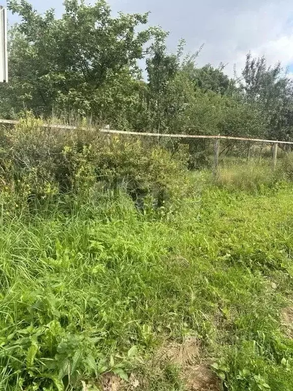 Участок в Калужская область, Боровский муниципальный округ, Кривское ... - Фото 1