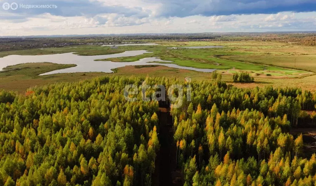 Участок в Ленинградская область, Всеволожское городское поселение, КП ... - Фото 1
