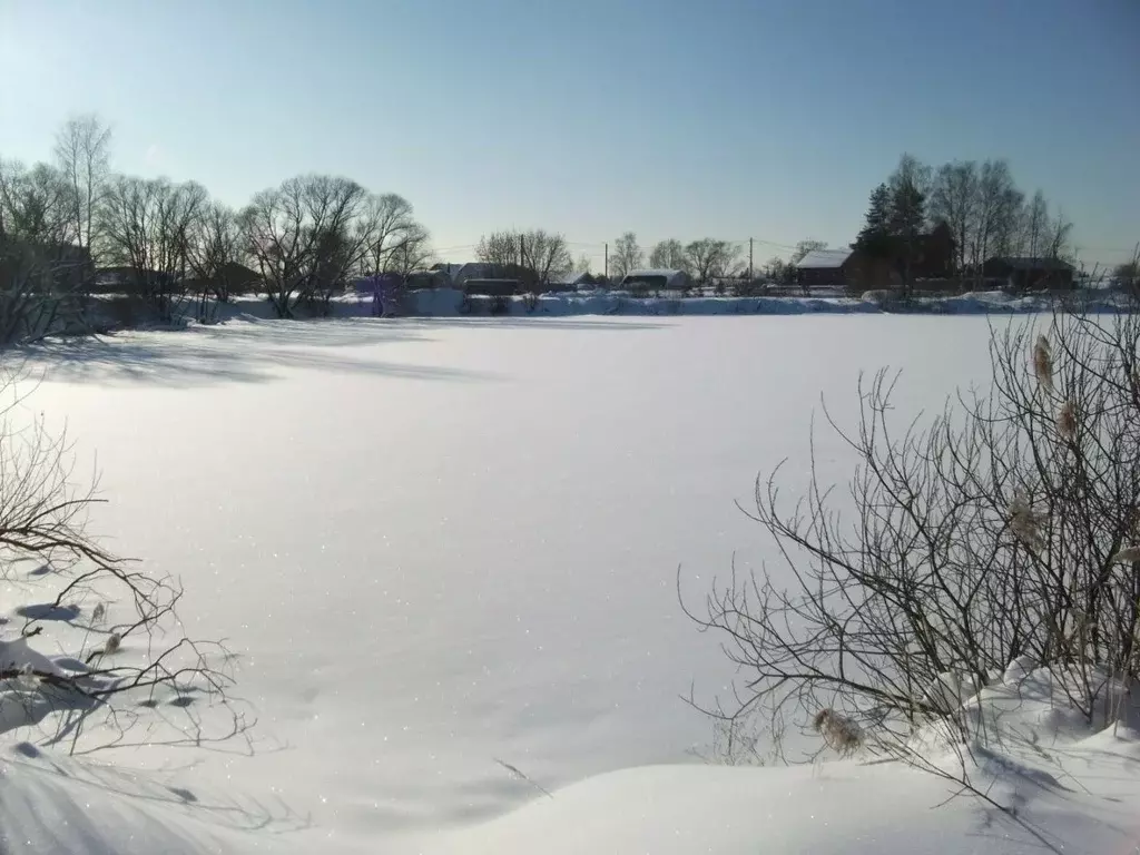 Участок в Московская область, Раменский муниципальный округ, с. ... - Фото 2