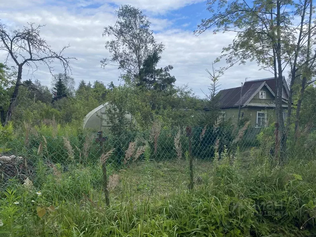 Участок в Ленинградская область, Кировский район, Мгинское городское ... - Фото 0