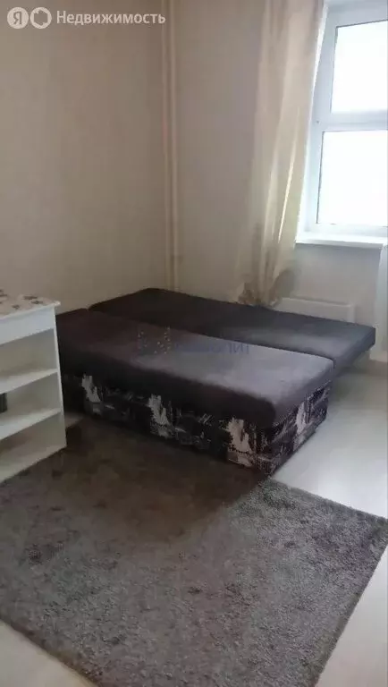 Квартира-студия: Нижний Новгород, улица Бориса Видяева, 10 (22 м) - Фото 2