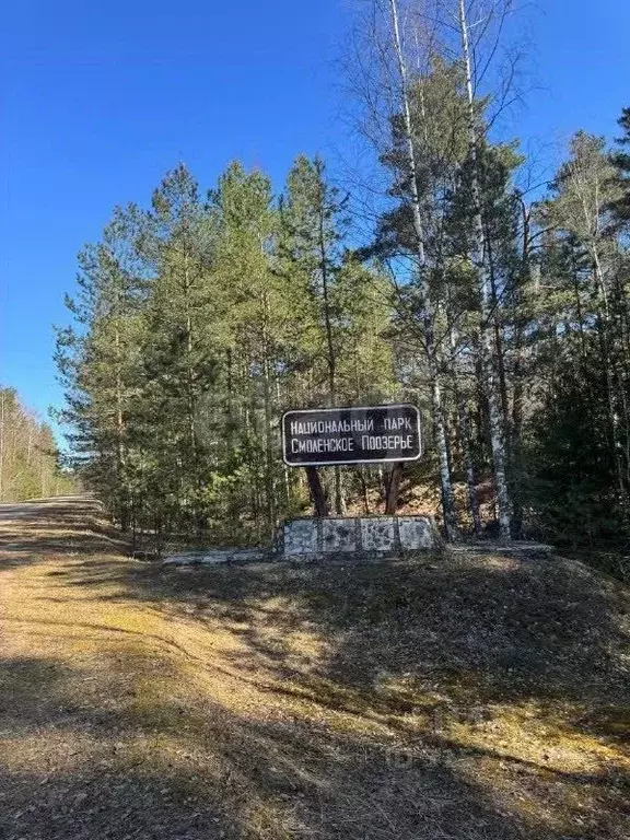 Участок в Смоленская область, Демидовский муниципальный округ, д. ... - Фото 1