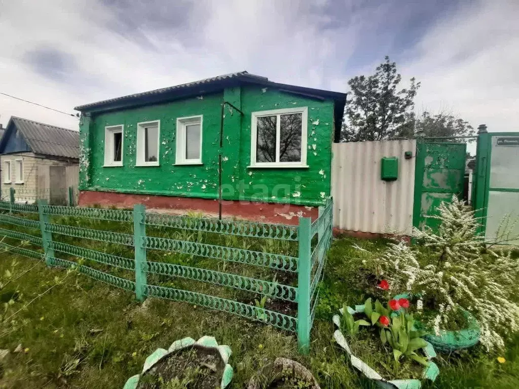 Дом в Белгородская область, Волоконовский район, Староивановское ... - Фото 0