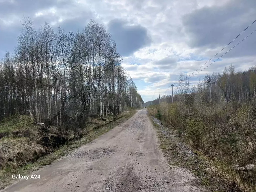 Участок 24 сот. (СНТ, ДНП) - Фото 1