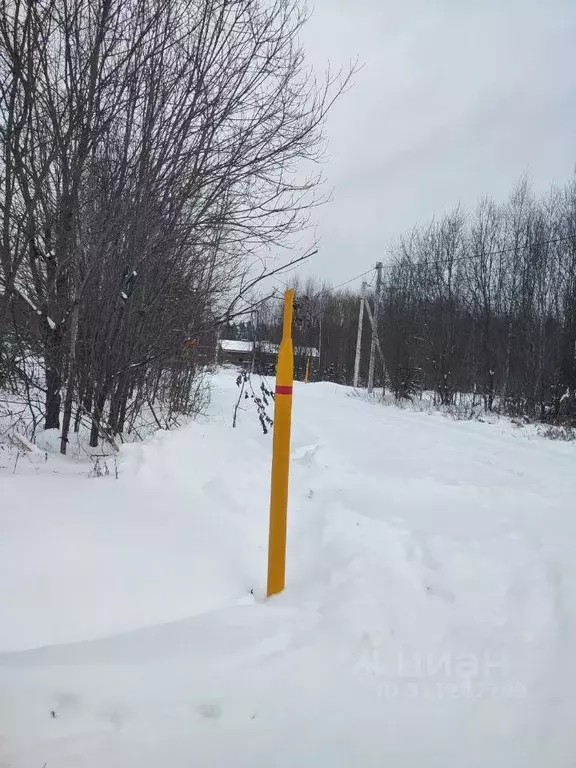 Участок в Владимирская область, Киржачский район, Кипревское ... - Фото 1