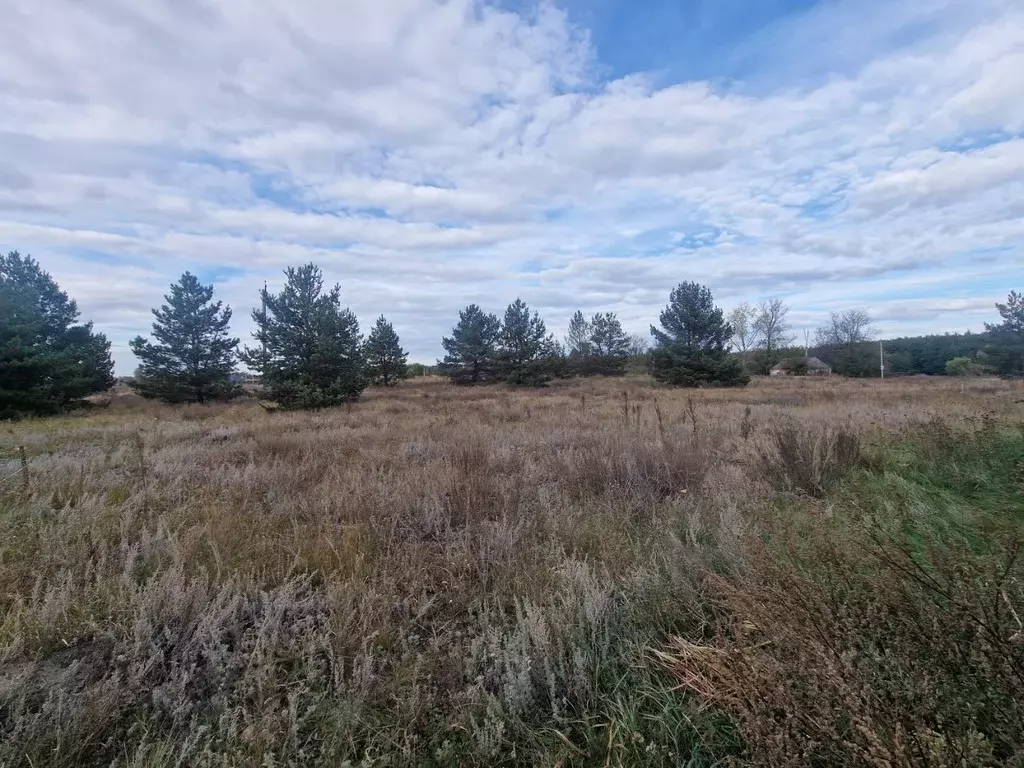 Участок в Воронежская область, Рамонский район, Ступинское с/пос, с. ... - Фото 1
