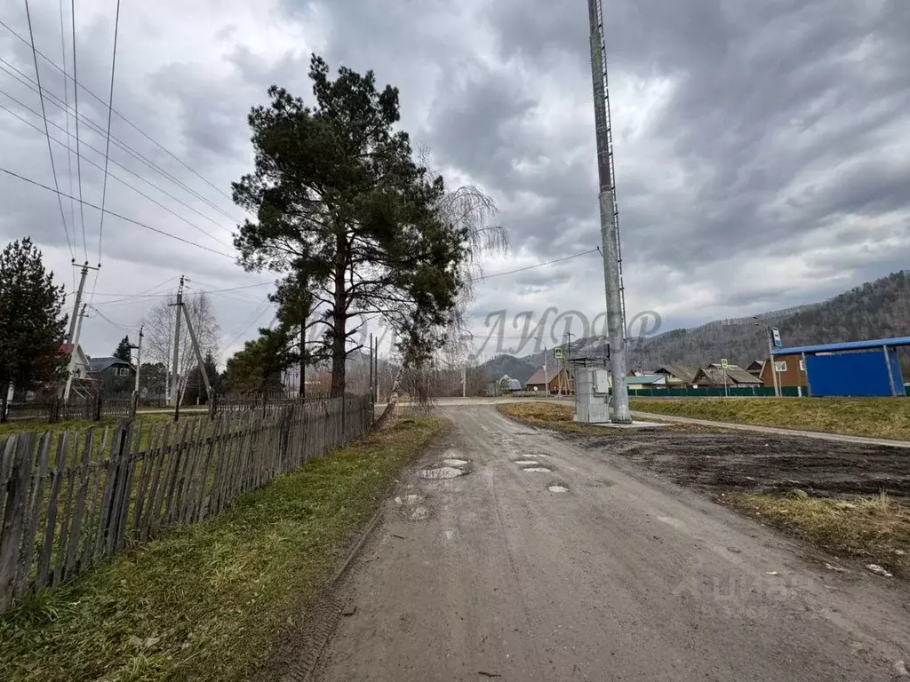 Участок в Алтай, Майминский район, с. Соузга Школьный пер. (13.0 сот.) - Фото 1