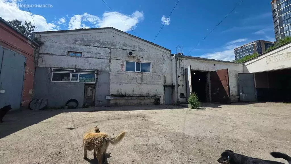 Помещение свободного назначения (39.32 м) - Фото 1