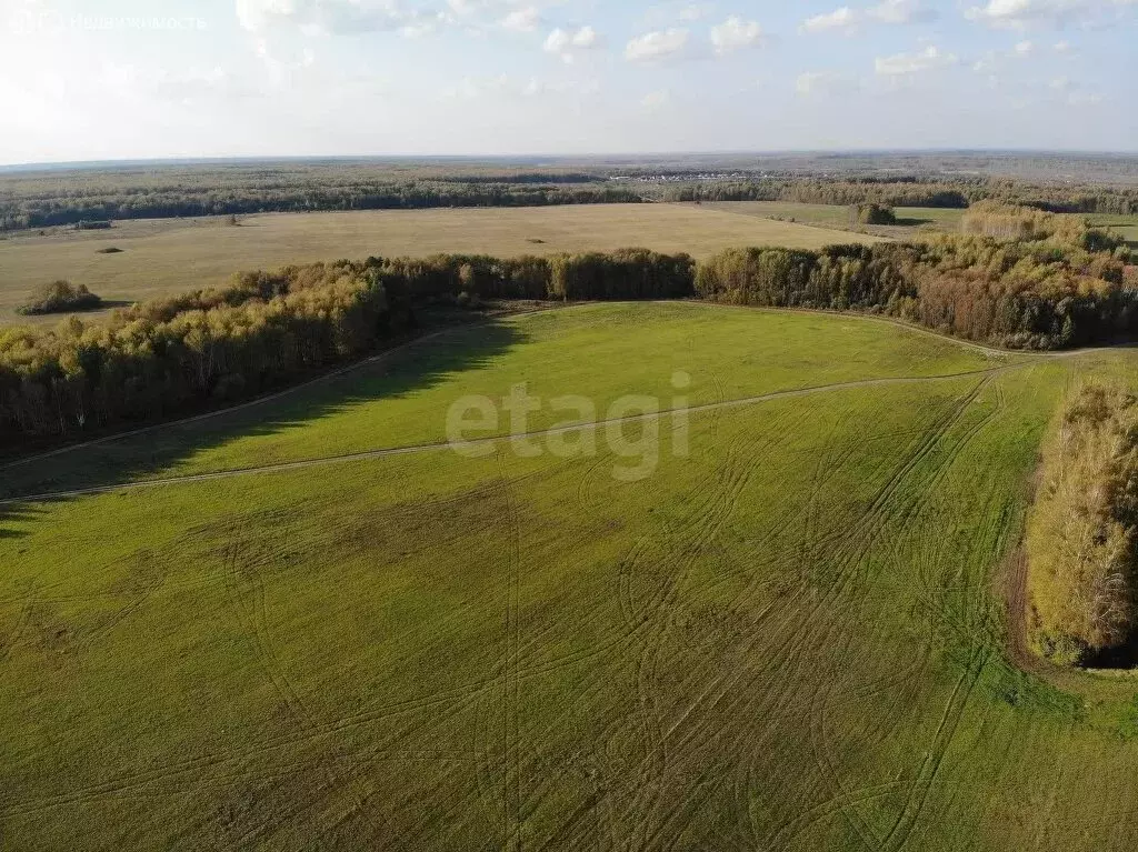 Участок в Тюменский муниципальный округ, деревня Насекина (602.64 м) - Фото 1