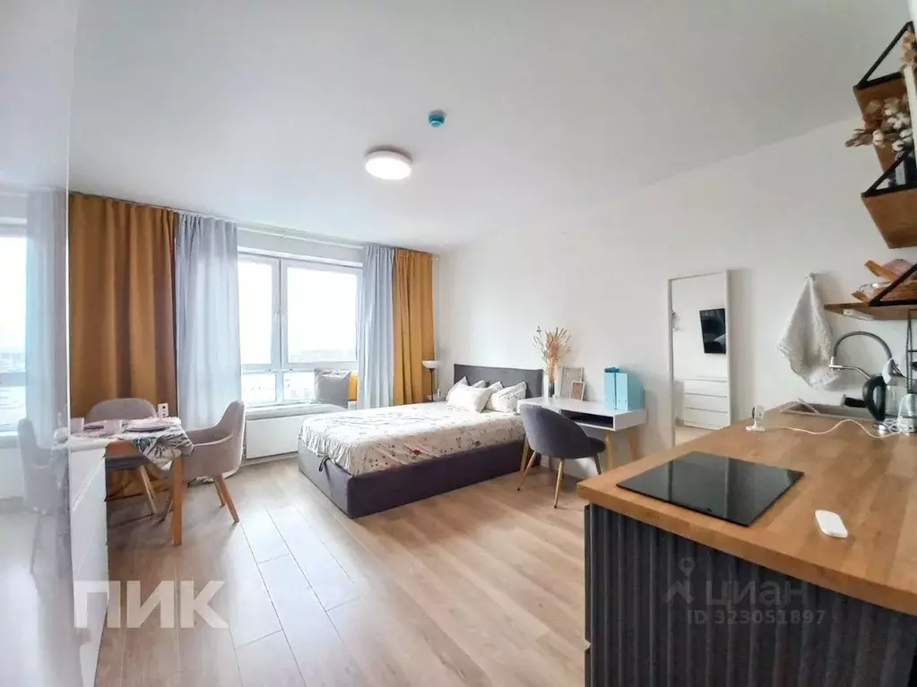 Студия Санкт-Петербург просп. Орлово-Денисовский, 19к2 (25.8 м) - Фото 1