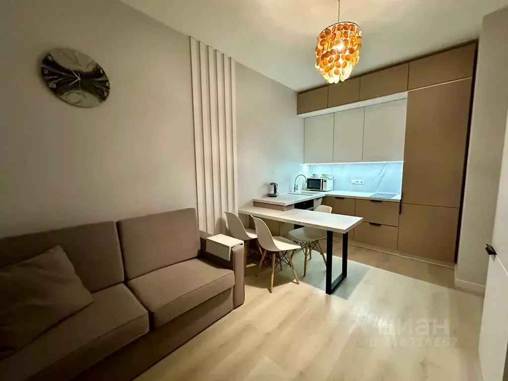 Студия Санкт-Петербург ул. Бабушкина, 53 (35.0 м) - Фото 1
